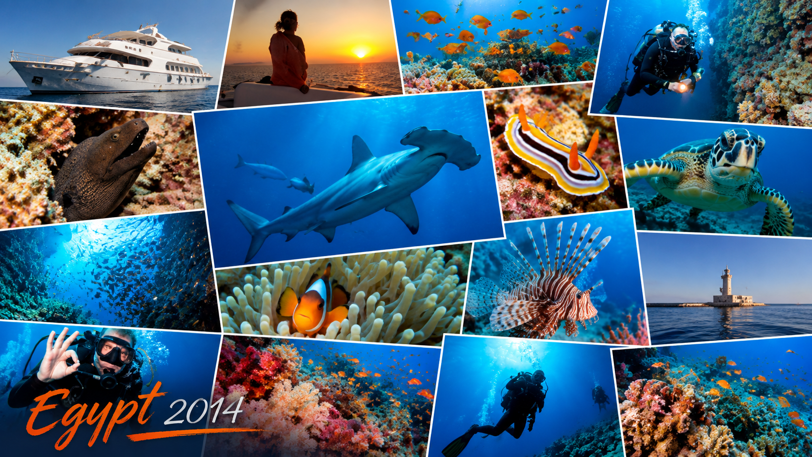 Egypt 2014